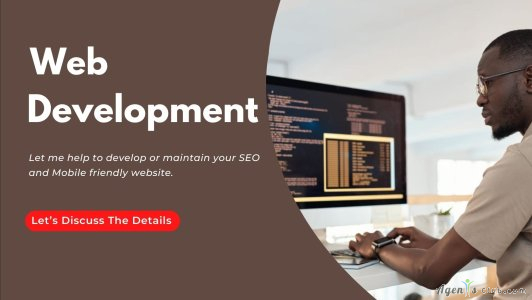 WordPress Website Development or EzoicSetup