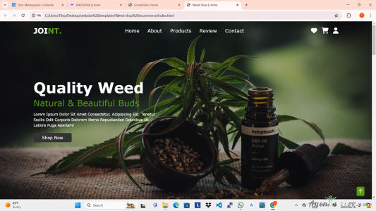 Modern Ecommerce Template