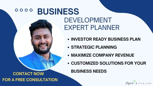 I will develop complete business plan with financial projection